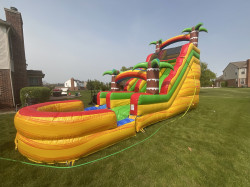 IMG 3512 1725833607 Fiesta Palm Tree 18ft Dry Slide