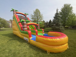 IMG 3513 1725833606 Fiesta Palm Tree 18ft Dry Slide