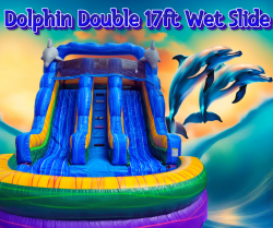 Dolphin Dual 17ft Wet Slide