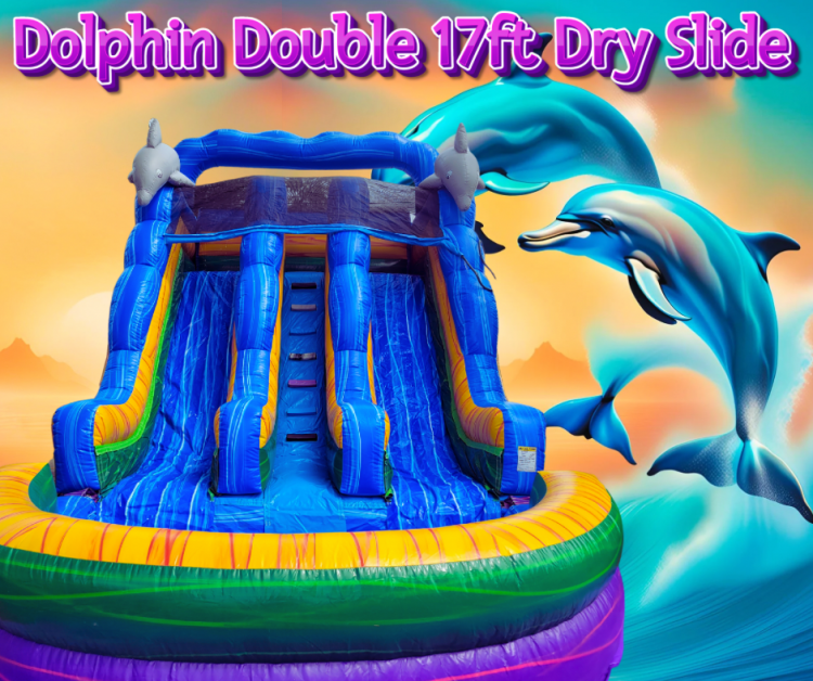 Dolphin Dual 17ft Dry Slide