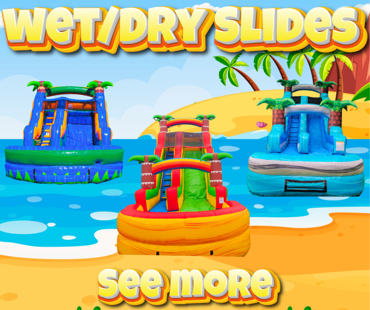 Water/Dry Slides