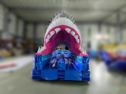 D295FB72 98E5 4DC2 A1CC DBD659560C11 1738800438 Shark Attack Double Slip N Slide
