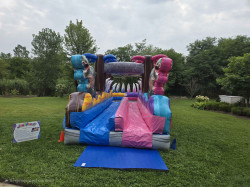 IMG 7886 1767306443 Dino Double Duel Slip N Slide